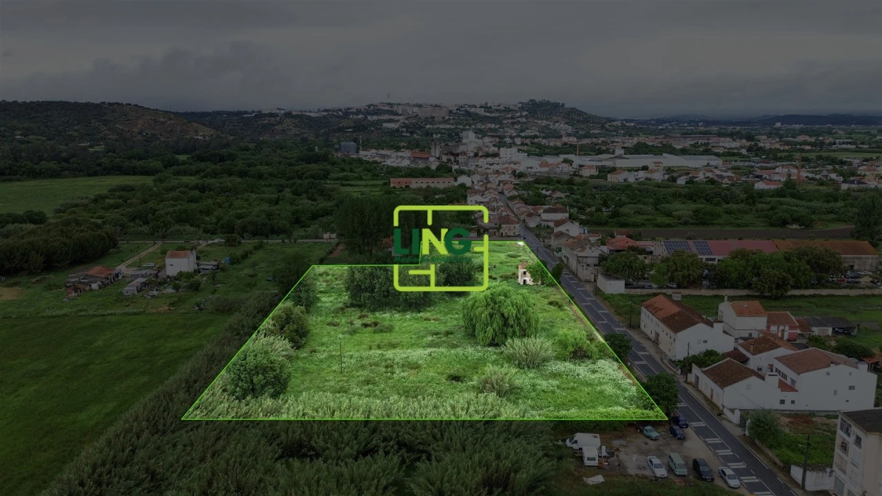 Terreno Agricola ou Rústico para Venda em São Miguel do Rio Torto e Rossio Ao Sul do Tejo Foto 4