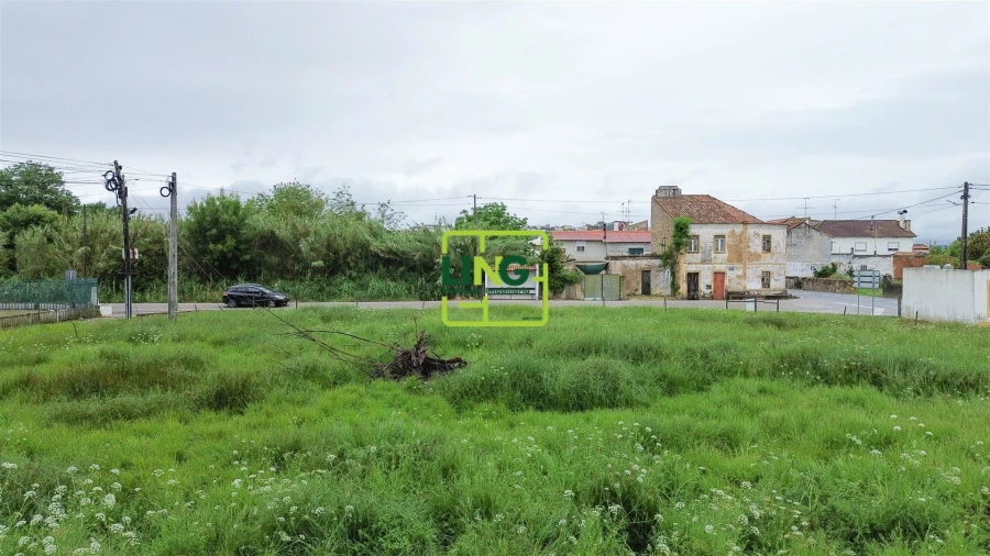 Terreno Agricola ou Rústico para Venda em São Miguel do Rio Torto e Rossio Ao Sul do Tejo Foto 21