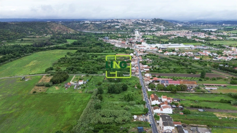 Terreno Agricola ou Rústico para Venda em São Miguel do Rio Torto e Rossio Ao Sul do Tejo Foto 2