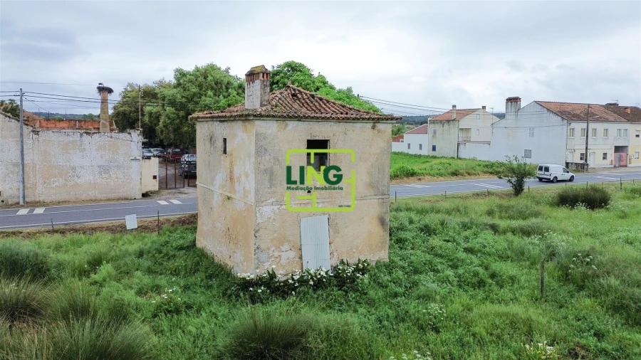Terreno Agricola ou Rústico para Venda em São Miguel do Rio Torto e Rossio Ao Sul do Tejo Foto 13