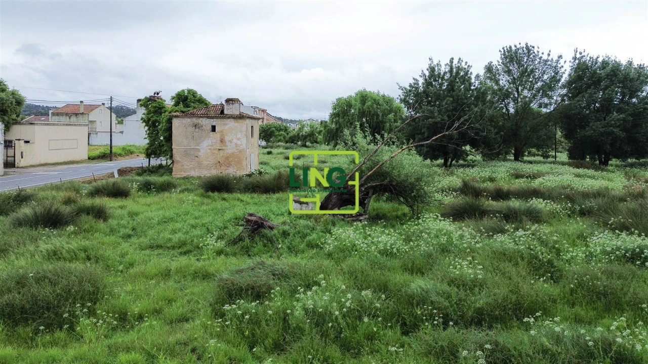 Terreno Agricola ou Rústico para Venda em São Miguel do Rio Torto e Rossio Ao Sul do Tejo Foto 11