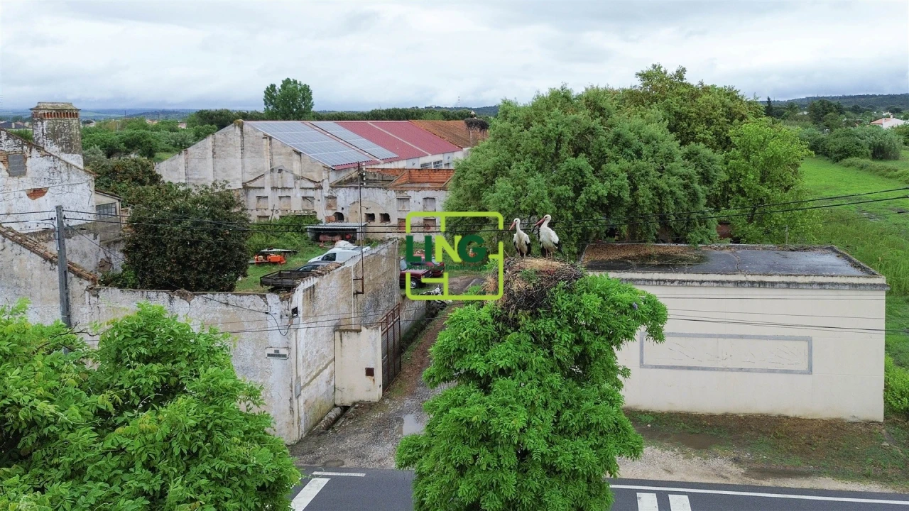 Terreno Agricola ou Rústico para Venda em São Miguel do Rio Torto e Rossio Ao Sul do Tejo Foto 24