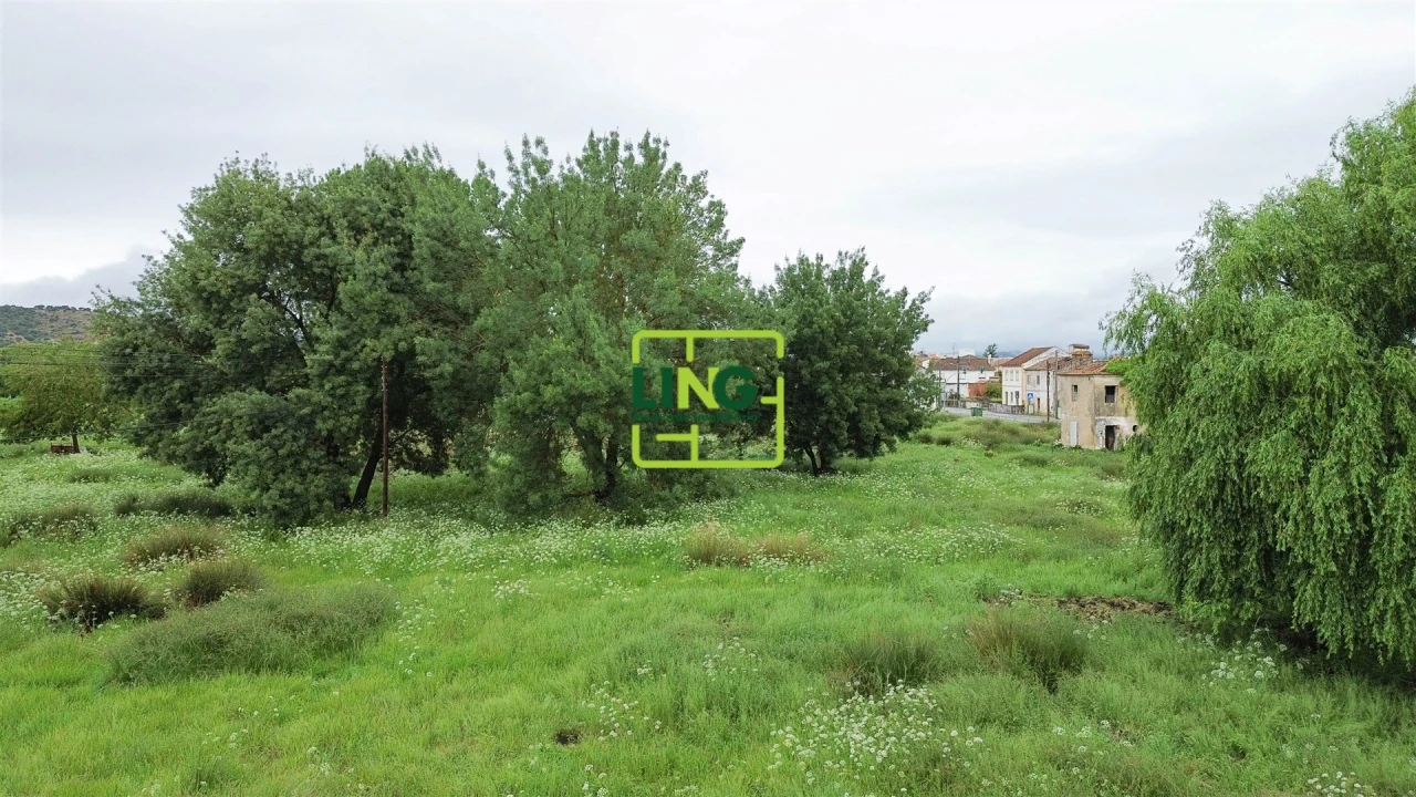 Terreno Agricola ou Rústico para Venda em São Miguel do Rio Torto e Rossio Ao Sul do Tejo Foto 18