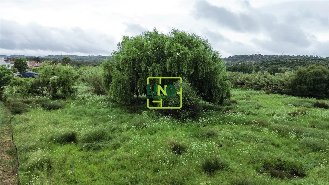 Terreno Agricola ou Rústico para Venda em São Miguel do Rio Torto e Rossio Ao Sul do Tejo Foto 25