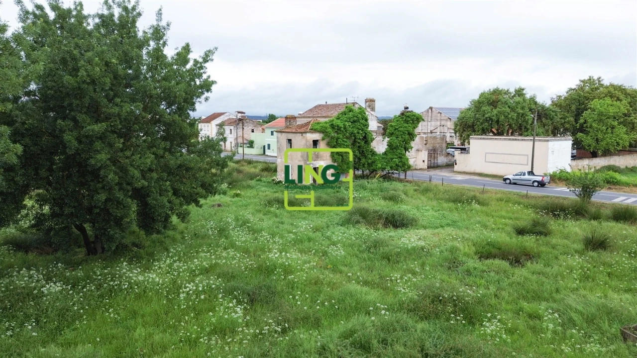 Terreno Agricola ou Rústico para Venda em São Miguel do Rio Torto e Rossio Ao Sul do Tejo Foto 6