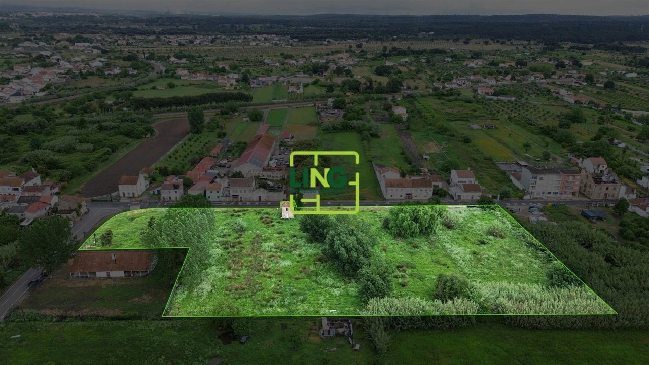 Terreno Agricola ou Rústico para Venda em São Miguel do Rio Torto e Rossio Ao Sul do Tejo Foto 38
