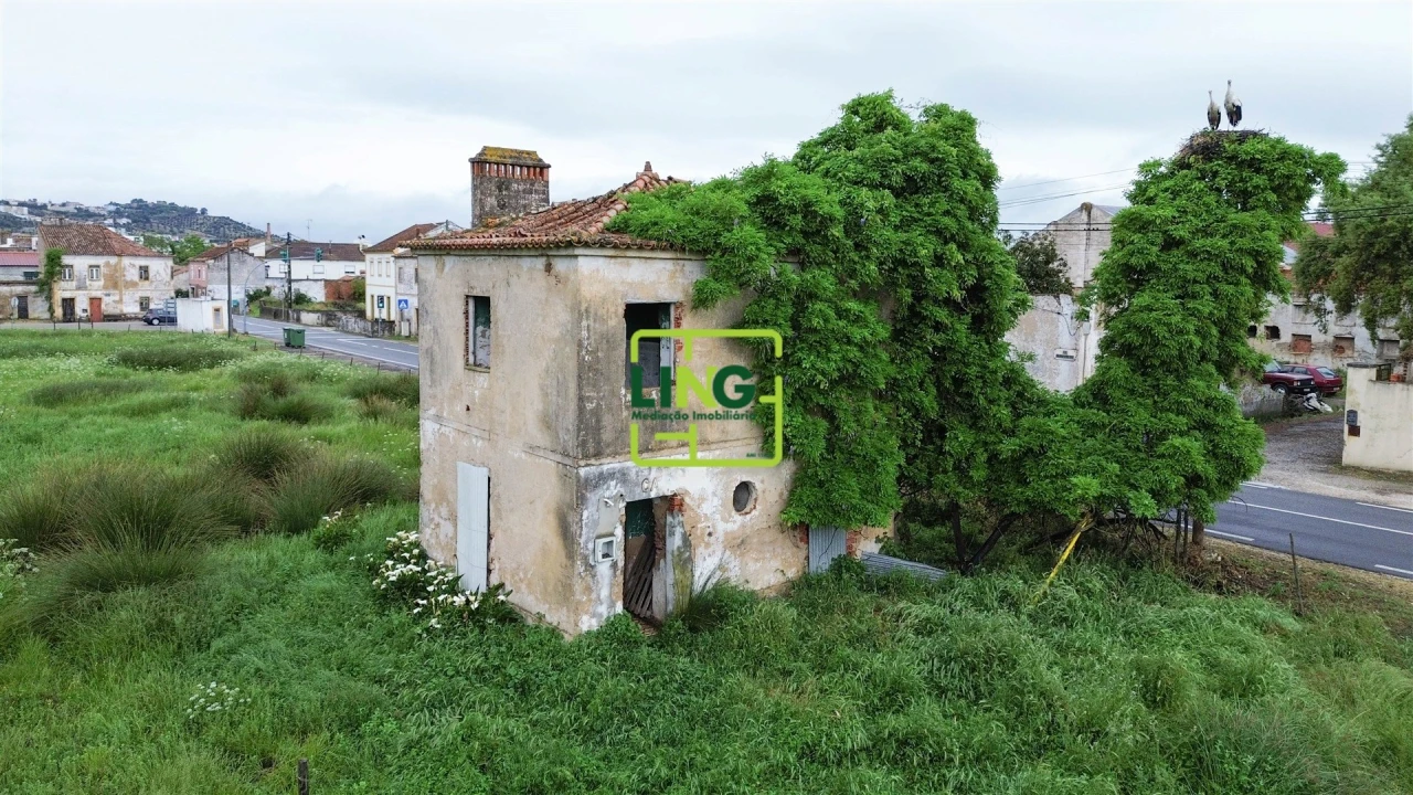 Terreno Agricola ou Rústico para Venda em São Miguel do Rio Torto e Rossio Ao Sul do Tejo Foto 7
