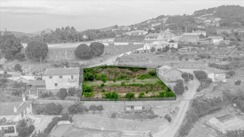 Terreno Agricola ou Rústico para Venda em Fridão