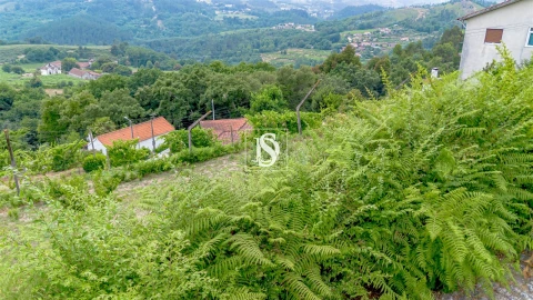 Terreno Agricola ou Rústico para Venda em Fridão