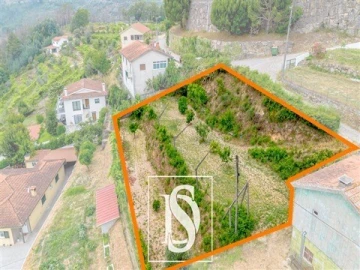 Terreno Agricola ou Rústico para Venda em Fridão
