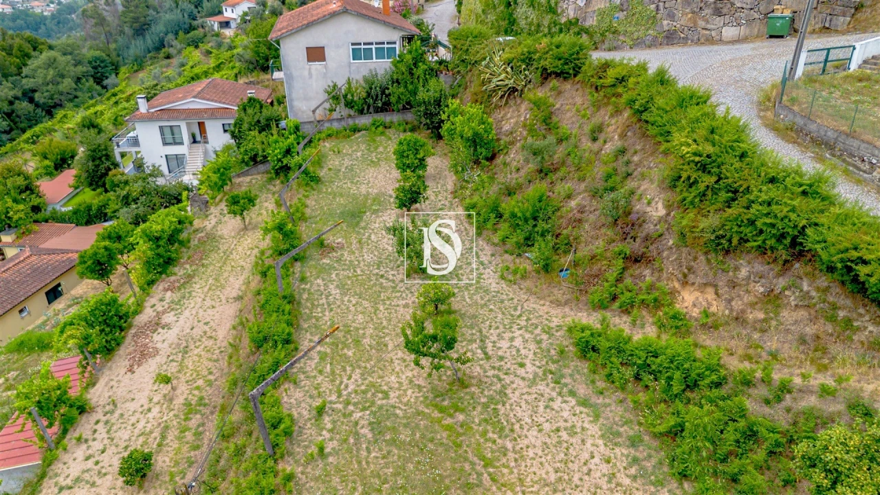 Terreno Agricola ou Rústico para Venda em Fridão Foto 1
