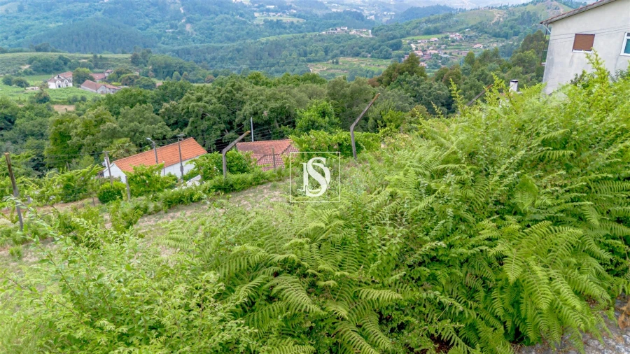 Terreno Agricola ou Rústico para Venda em Fridão Foto 17