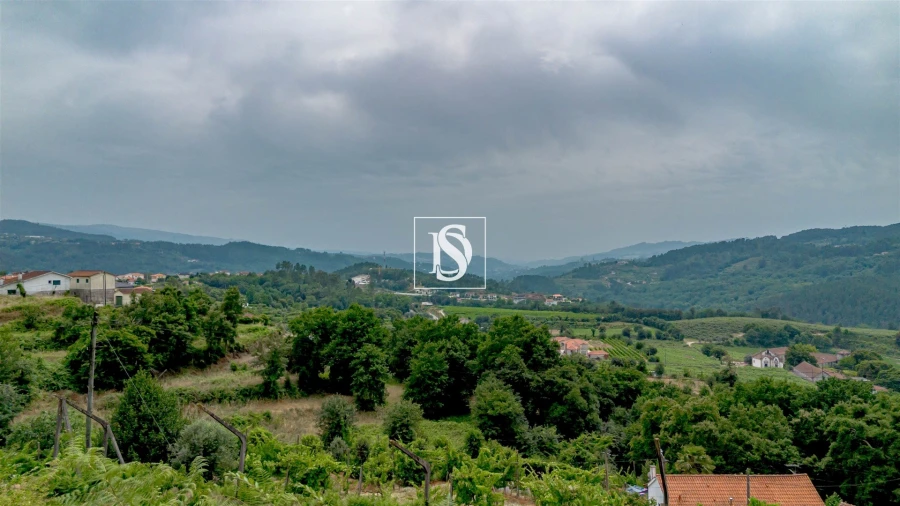 Terreno Agricola ou Rústico para Venda em Fridão Foto 10