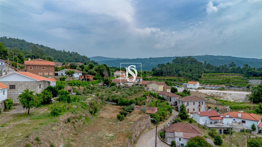 Terreno Agricola ou Rústico para Venda em Fridão Foto 8