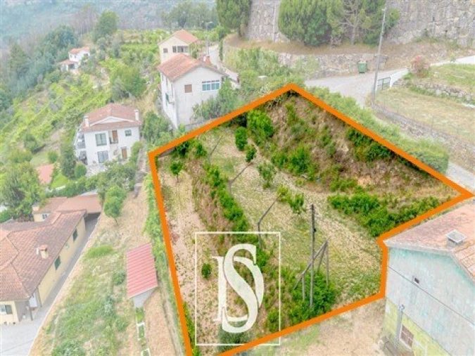 Terreno Agricola ou Rústico para Venda em Fridão Foto 7