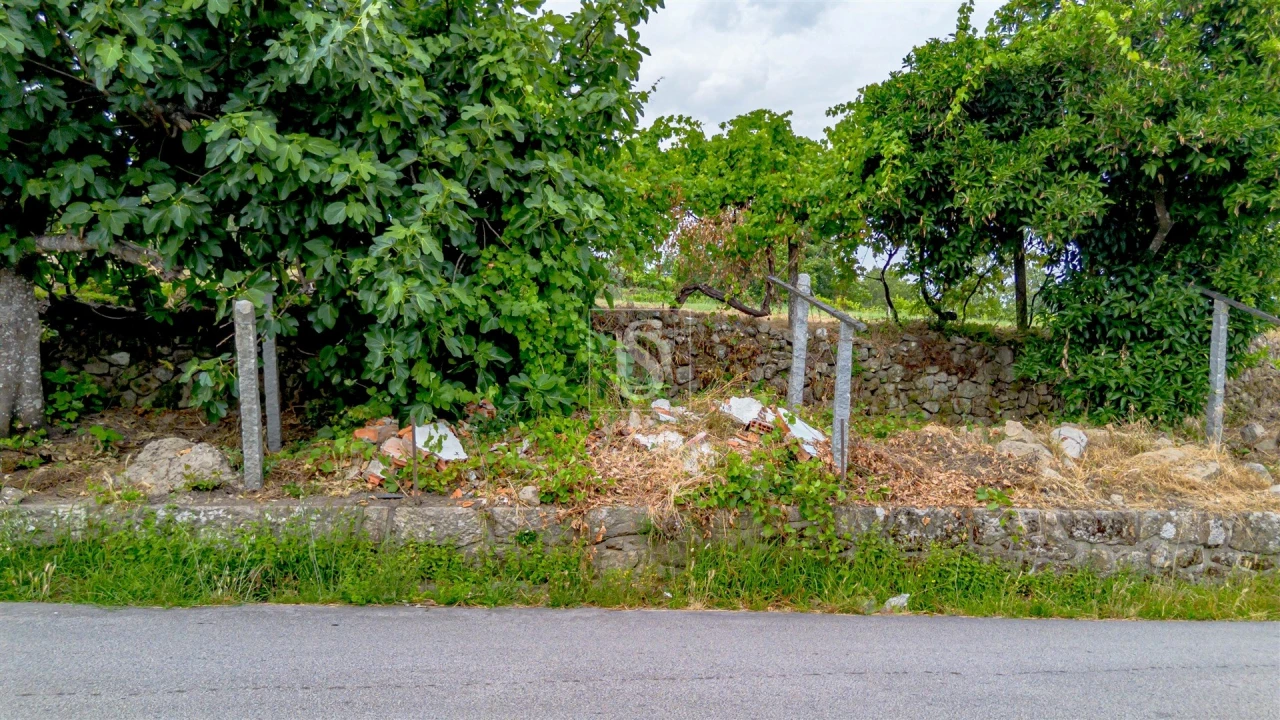 Terreno para Venda em Ancede e Ribadouro Foto 5
