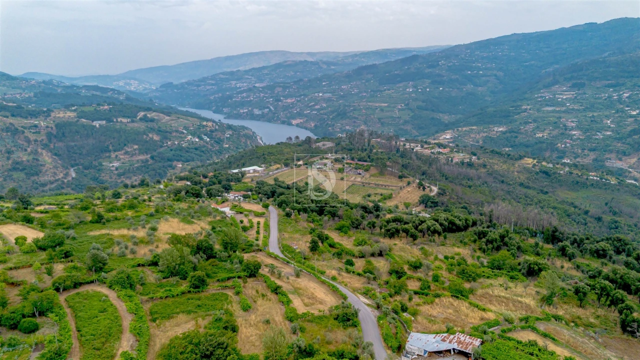 Terreno para Venda em Ancede e Ribadouro Foto 11