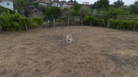 Terreno para Venda em Ancede e Ribadouro