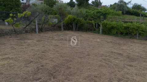 Terreno para Venda em Ancede e Ribadouro