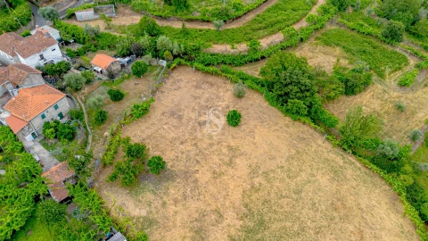 Terreno para Venda em Ancede e Ribadouro