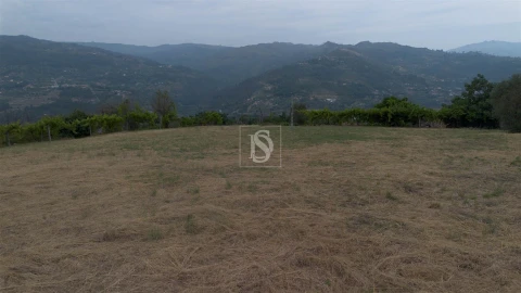 Terreno para Venda em Ancede e Ribadouro