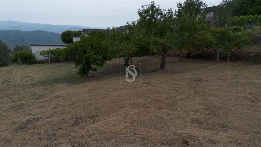 Terreno para Venda em Ancede e Ribadouro Foto 20