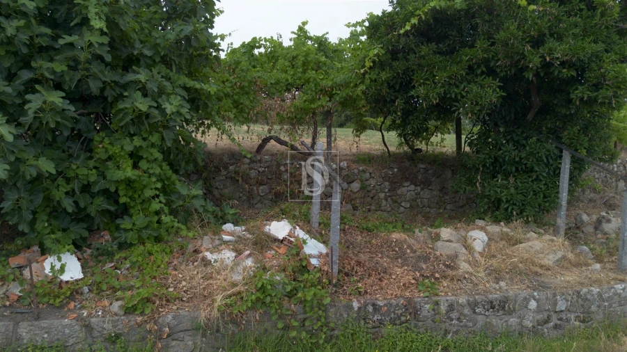 Terreno para Venda em Ancede e Ribadouro Foto 25