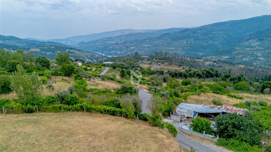 Terreno para Venda em Ancede e Ribadouro Foto 16