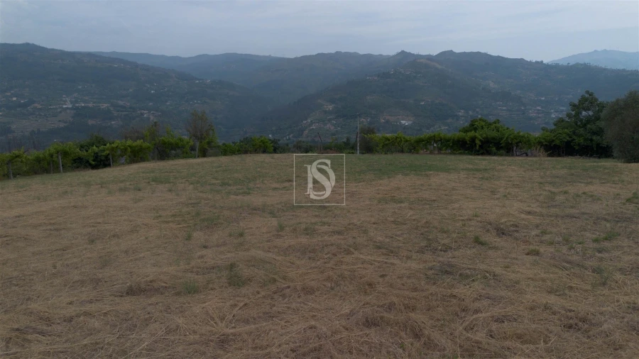 Terreno para Venda em Ancede e Ribadouro Foto 19