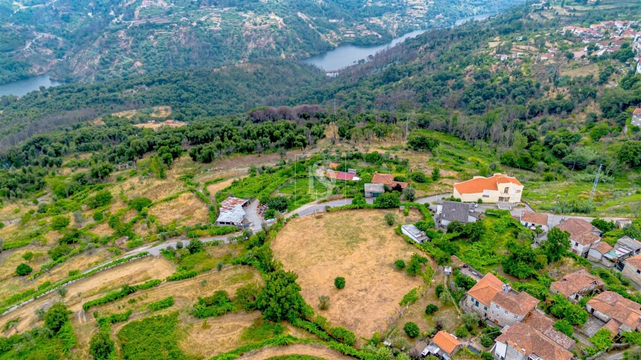 Terreno para Venda em Ancede e Ribadouro Foto 4