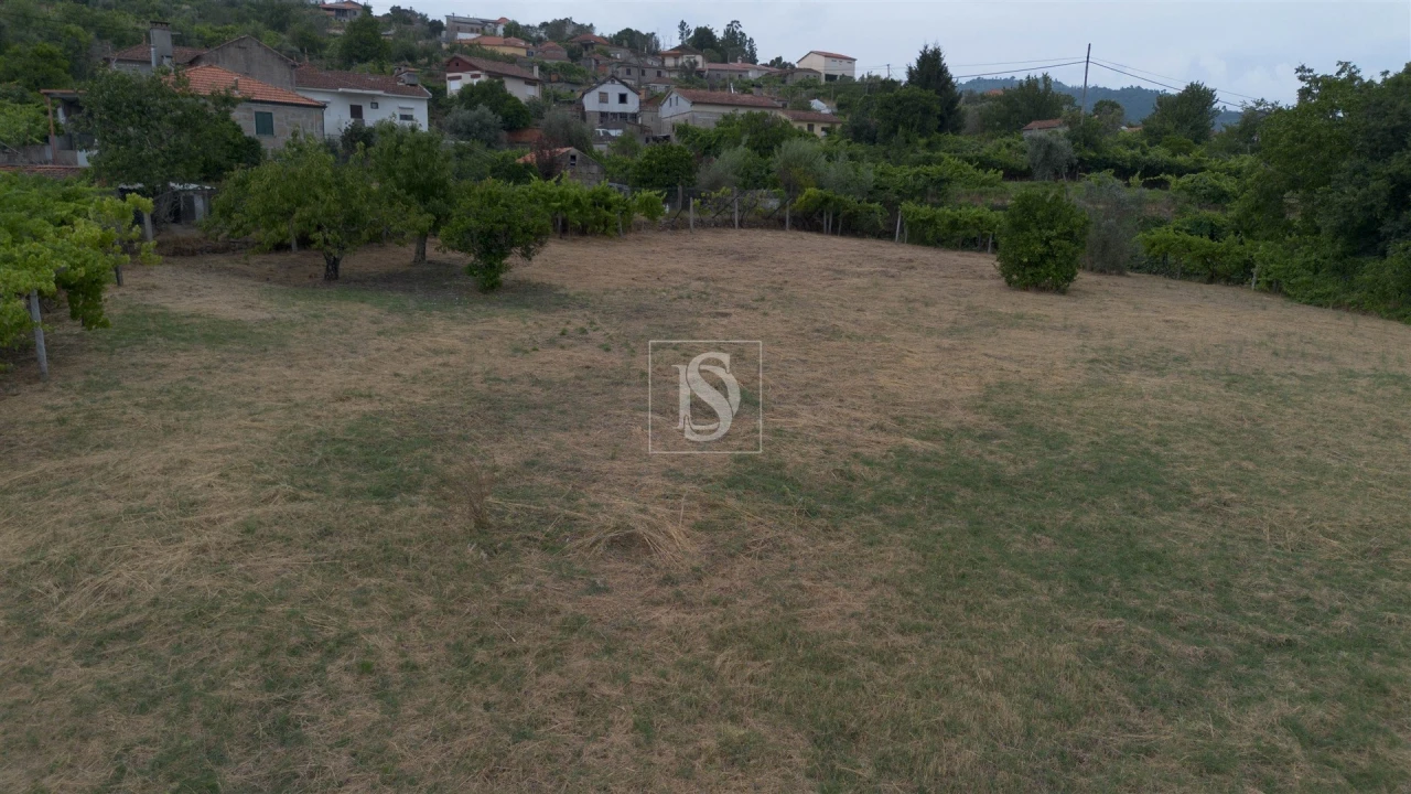 Terreno para Venda em Ancede e Ribadouro Foto 17