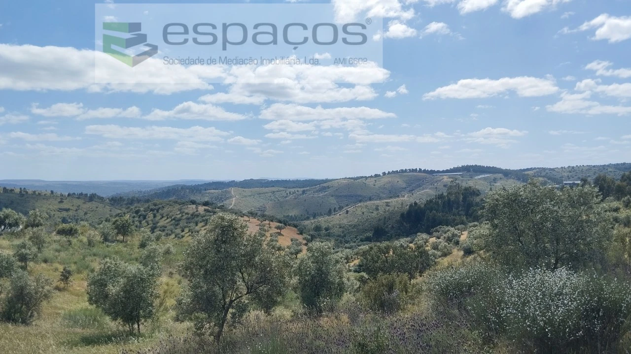 Quinta T2 para Venda em Castelo Branco Foto 2