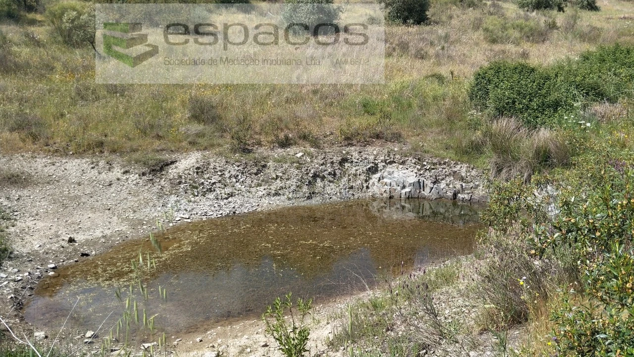 Quinta T2 para Venda em Castelo Branco Foto 20