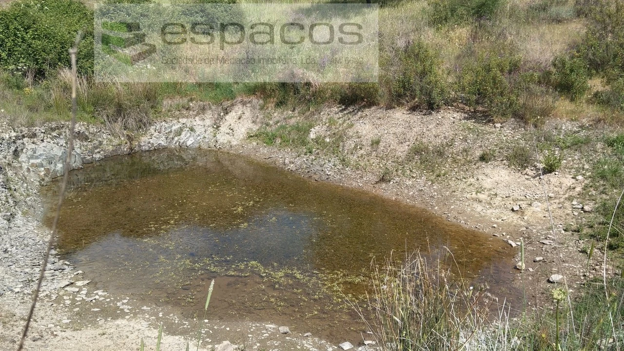 Quinta T2 para Venda em Castelo Branco Foto 21