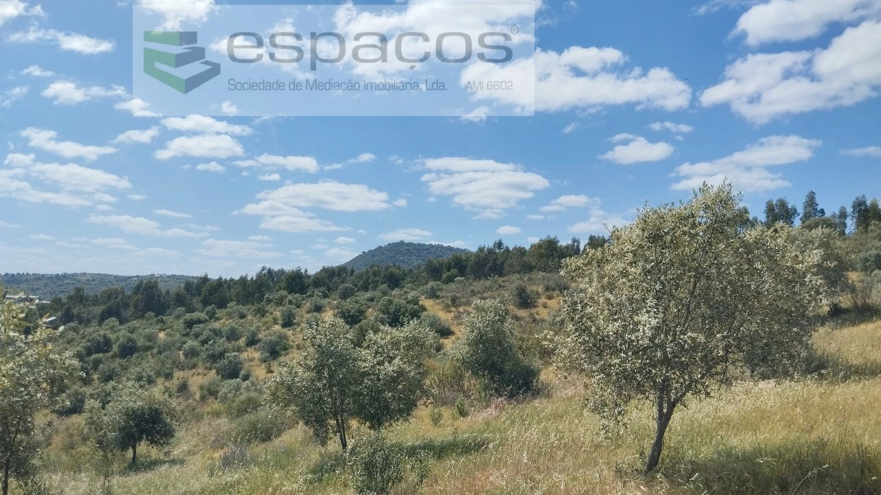 Quinta T2 para Venda em Castelo Branco Foto 4