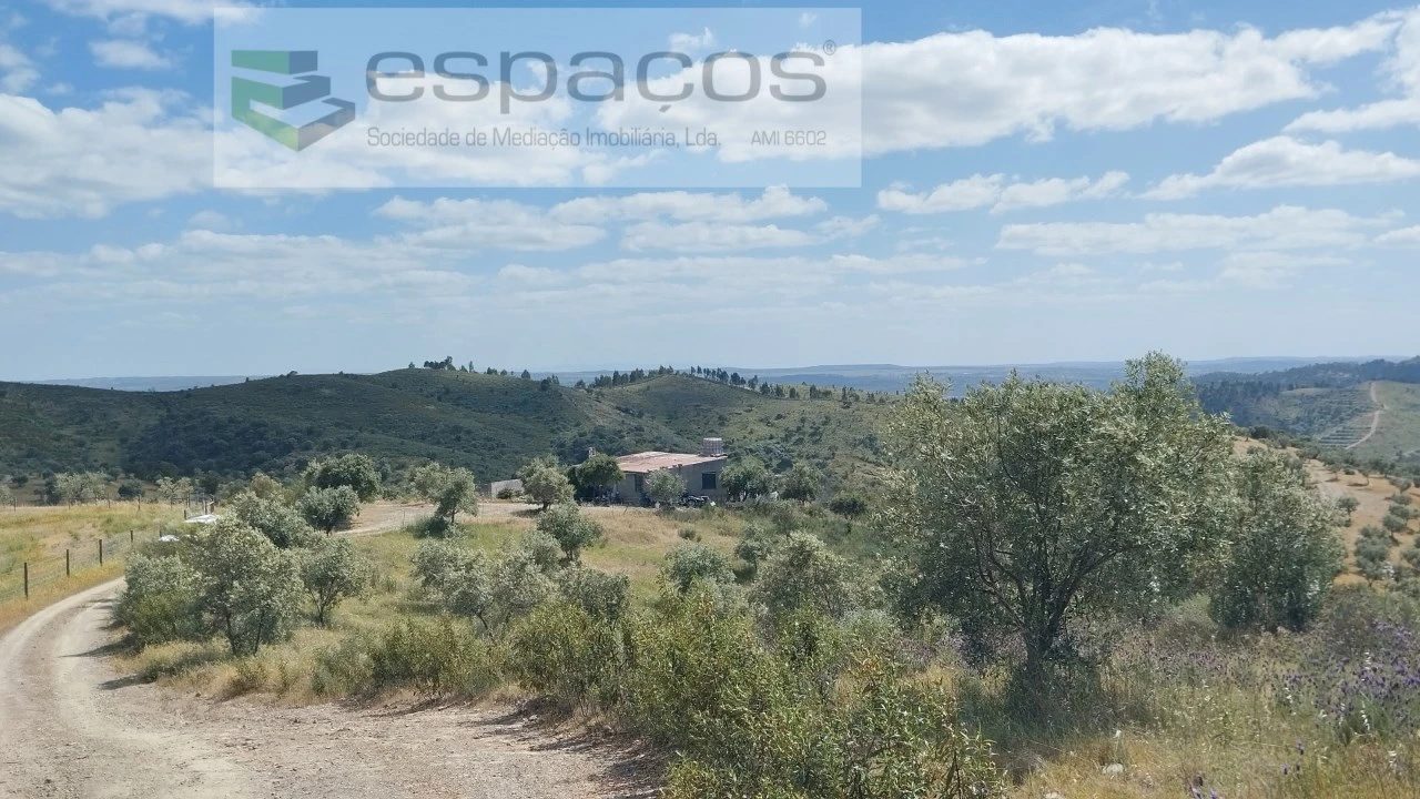 Quinta T2 para Venda em Castelo Branco Foto 1