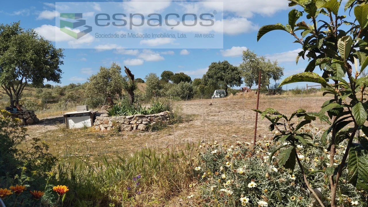 Quinta T2 para Venda em Castelo Branco Foto 27