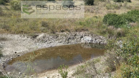 Quinta T2 para Venda em Castelo Branco