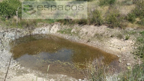 Quinta T2 para Venda em Castelo Branco