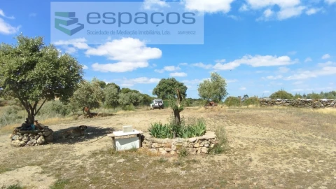 Quinta T2 para Venda em Castelo Branco