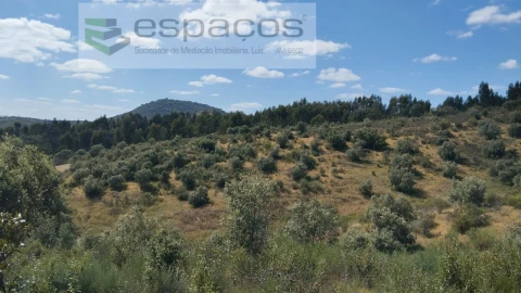 Quinta T2 para Venda em Castelo Branco