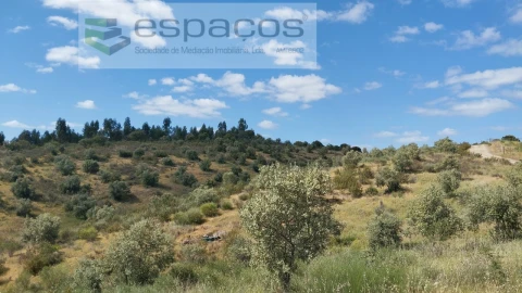 Quinta T2 para Venda em Castelo Branco