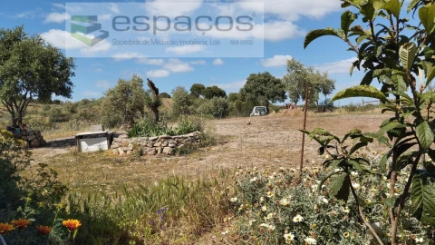 Quinta T2 para Venda em Castelo Branco
