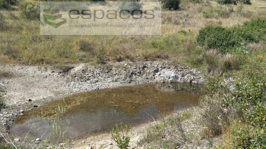 Quinta T2 para Venda em Castelo Branco Foto 20