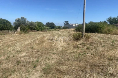Terreno para Venda em Lavos