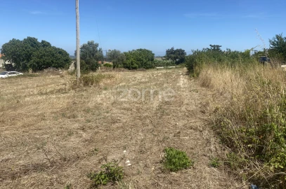 Terreno para Venda em Lavos
