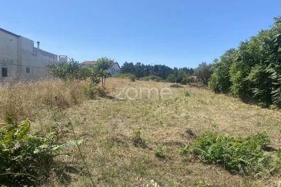 Terreno para Venda em Lavos