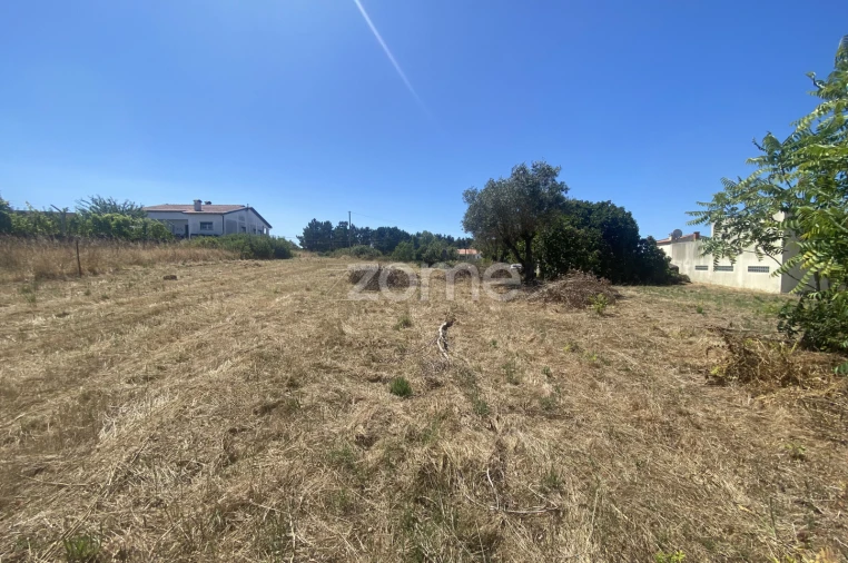 Terreno para Venda em Lavos Foto 3