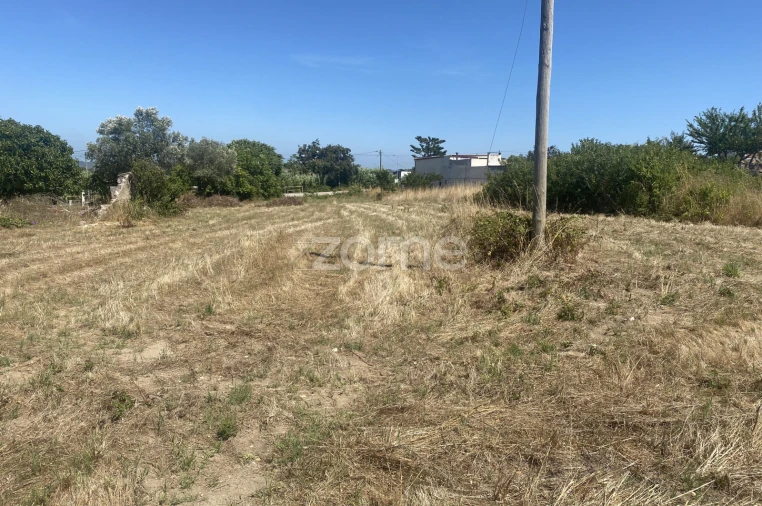 Terreno para Venda em Lavos Foto 6