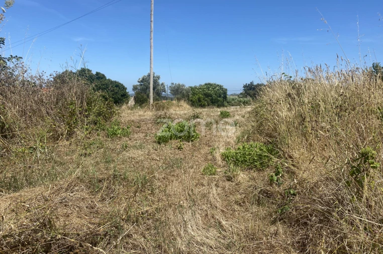 Terreno para Venda em Lavos Foto 9